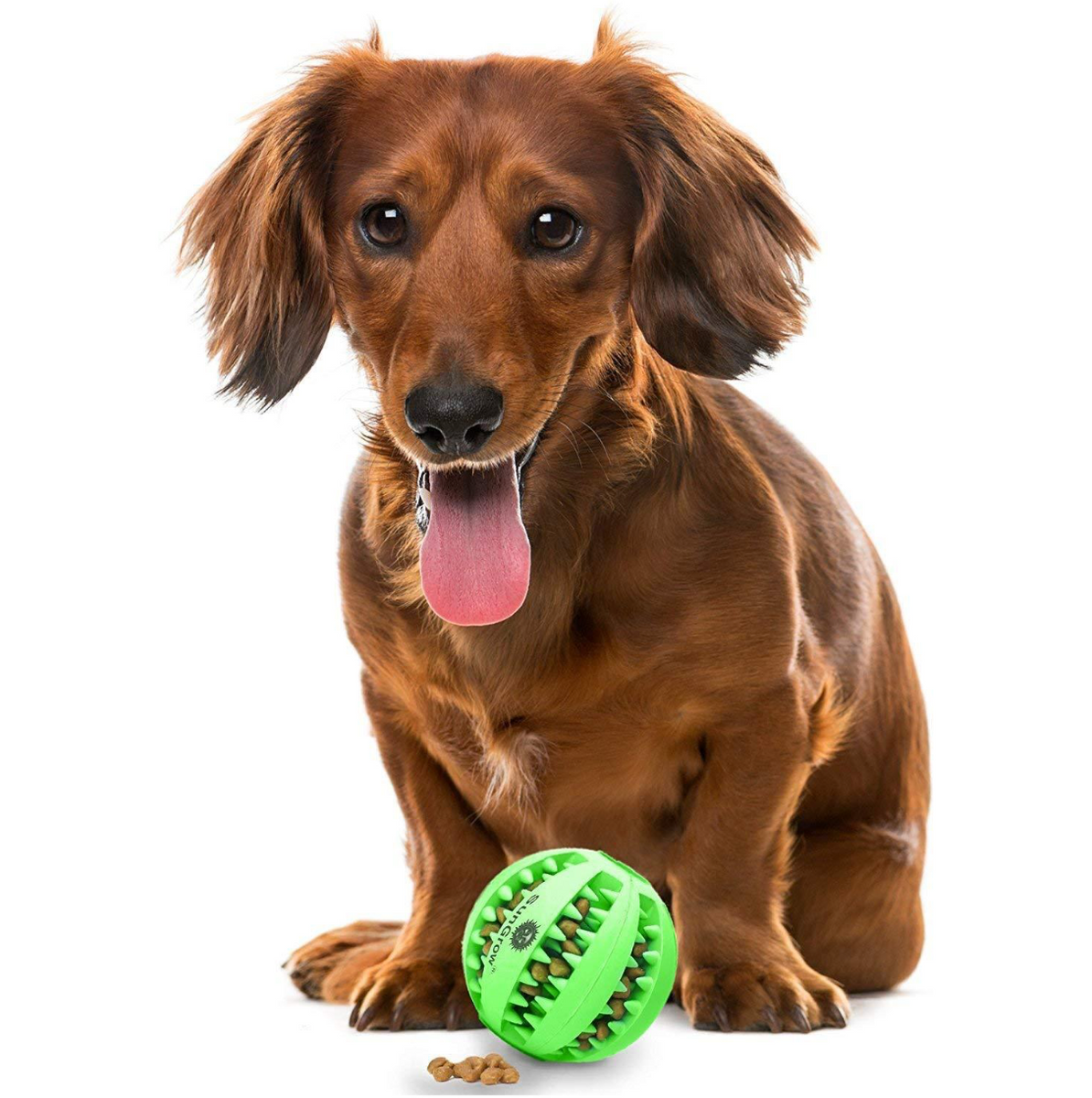 Smart Dog Ball