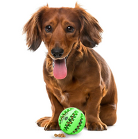 Rubber treat ball toy for dogs that helps with dental health